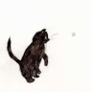 Meet your Posher, Jacqueline